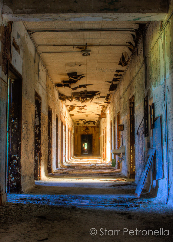 Fine Art Starr Petronella Photography